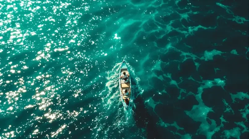逐浪少年 海报封面